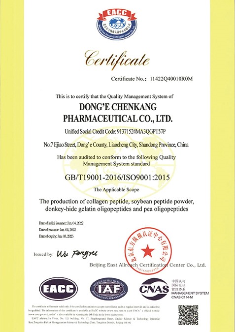国际质量体系ISO9001认证