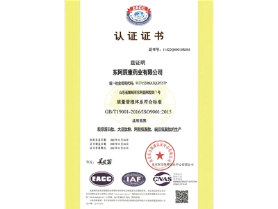 国际质量体系ISO9001认证